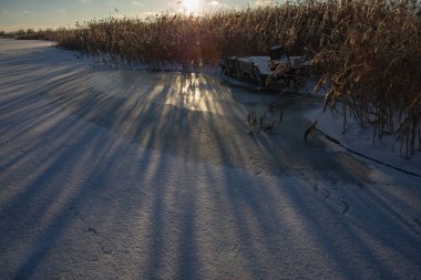 Donmuş nehrin üzerinde kış günbatımı. Sazlıklar buzun üzerinde uzun gölgeler bırakıyor.
