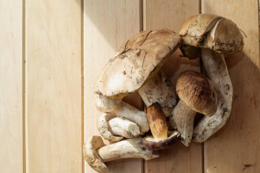 Tahtaya dizilmiş taze yaban domuzu mantarları doğal besin içeriği konsepti.