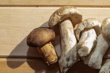 Tahtaya dizilmiş taze yaban domuzu mantarları doğal besin içeriği konsepti.