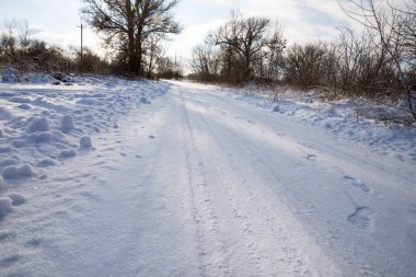 Güneşli kış gününde kırsal yol lastik izleri ve ağaçlarla kaplıydı.
