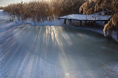 Donmuş kış göleti, sazlıklar, buz yüzeyi ve düşük güneş ışığı.