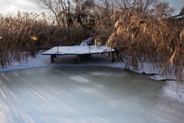 Donmuş kış göleti, sazlıklar, buz yüzeyi ve düşük güneş ışığı.