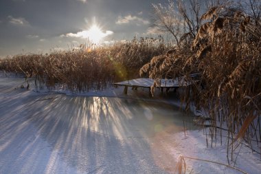 Donmuş kış göleti, sazlıklar, buz yüzeyi ve düşük güneş ışığı.