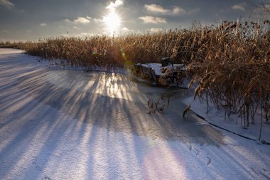 Donmuş kış göleti, sazlıklar, buz yüzeyi ve düşük güneş ışığı.