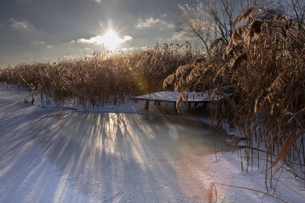 Donmuş kış göleti, sazlıklar, buz yüzeyi ve düşük güneş ışığı.
