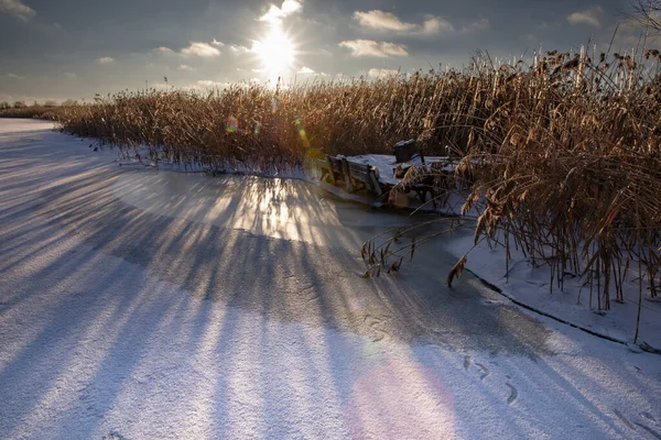 Donmuş kış göleti, sazlıklar, buz yüzeyi ve düşük güneş ışığı.