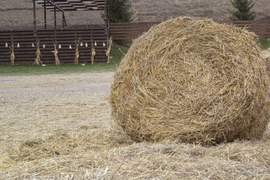 Samanlar yuvarlak balya yakın görünüm doğal kırsal tarımsal arka plan oluşturur