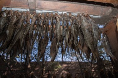 Geleneksel açık hava tütsüleme evinde tel askıda asılı duran kurumuş tatlı su balığı.