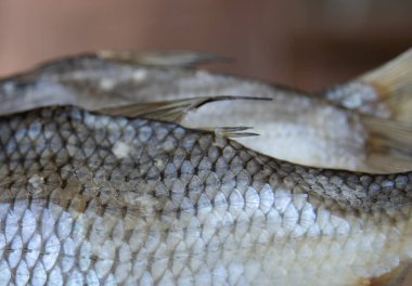 Geleneksel gıda koruma süreci için kurutulmuş tatlı su balığı