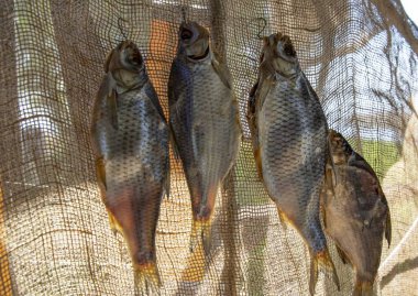 Üç kurutulmuş tatlı su balığı dikey olarak örgü kumaş arkaplanda asılı.