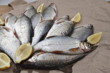 Kahverengi kağıt yüzeyine yerleştirilmiş limon dilimli balık hamamböceği