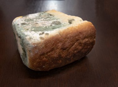 Ahşap masada yeşil mantarlı küflü beyaz ekmek.