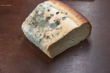 Ahşap masada yeşil mantarlı küflü beyaz ekmek.