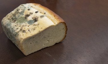 Ahşap masada yeşil mantarlı küflü beyaz ekmek.