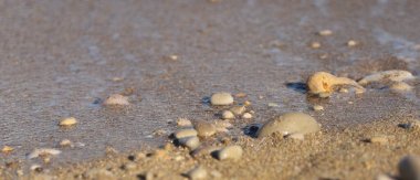 Yumuşak okyanus arkaplanlı kumsala serpilmiş yumuşak deniz çakıl taşları