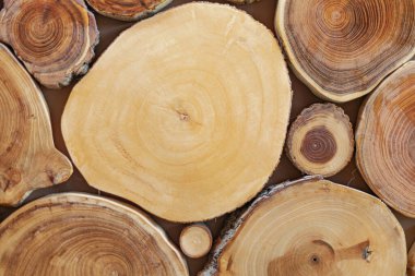 Doğal ağaç gövdesi dilimleri görünür büyüme halkaları ile kırsal ahşap doku arkaplanı oluşturur.