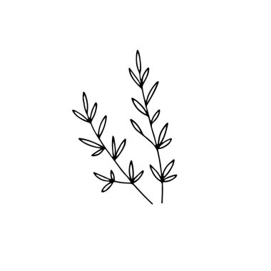 El çizimi çiçek ikonu, vektör minimalist grafikler. Yapraklı dallar.
