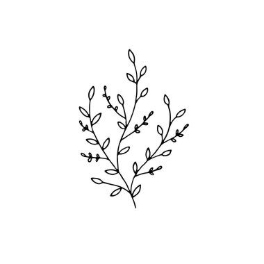 Vektör minimalist grafik, el çizimi çiçek ikonu. Yapraklı dal.