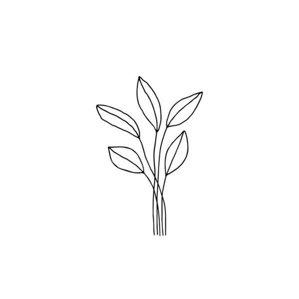 Квіткова піктограма, векторна графіка. Рука намальовані гілки з листям . — стоковий вектор