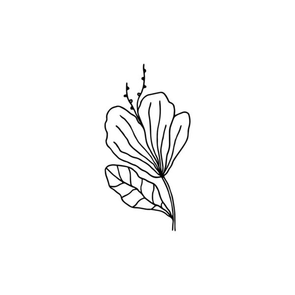 Handgezeichnetes florales Symbol, Vektor einfache Blume Illustration. — Stockvektor