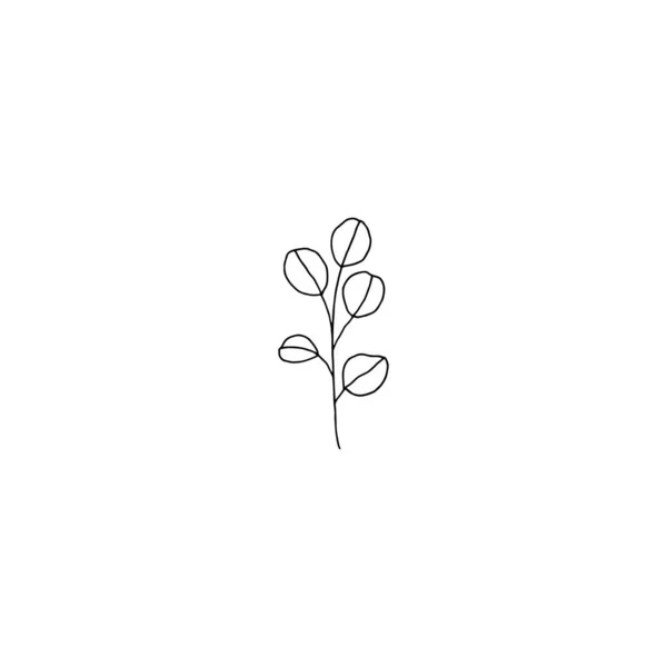 Blommiga svarta och vita ikoner, vektorgrafik. Handritad gren med blad i minimal modern stil. — Stock vektor