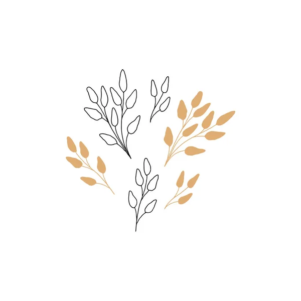 Ramas dibujadas a mano con hojas de estilo minimalista moderno. Iconos florales, gráficos vectoriales. — Vector de stock