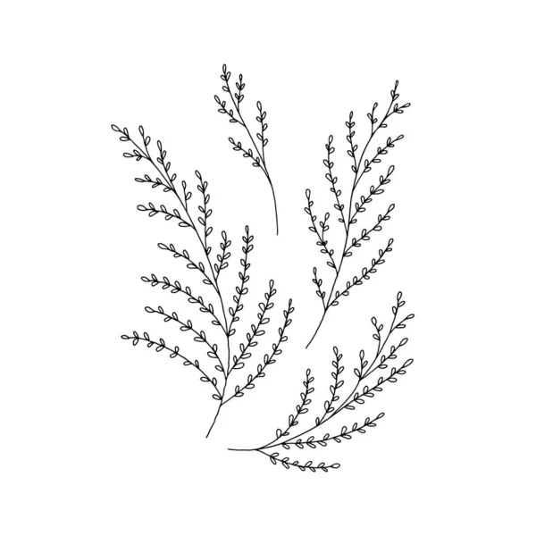 Iconos florales en blanco y negro, gráficos vectoriales. Ramas hechas a mano con hojas. — Archivo Imágenes Vectoriales