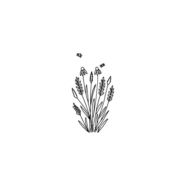 Buquê de flores silvestres vetoriais. ilustração desenhada à mão simples, camomila. — Vetor de Stock