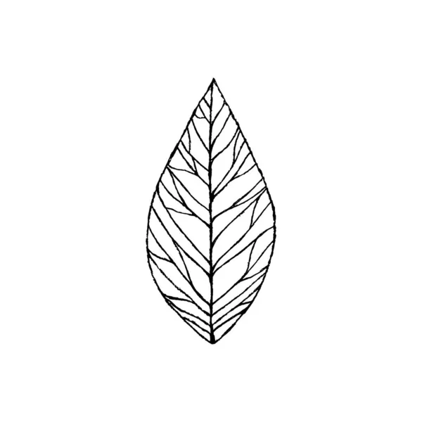 Квіткова чорно-біла іконка, векторна графіка. Рука намальована детальним листом в мінімальному сучасному стилі . — стоковий вектор