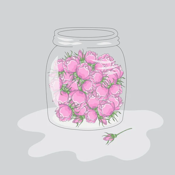 Roses in the jar — ストックベクタ