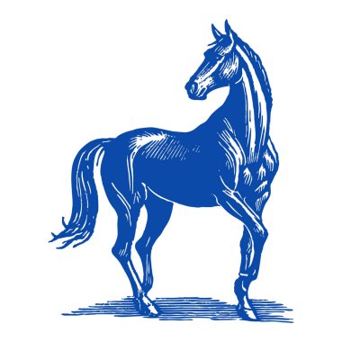 Vahşi Batı kovboy tarzında Batı atı çizimleri. Detaylı vektör çizgileri var. Çiftlik markaları, hayvan logoları, taşra ambalajları, tarım etiketleri ve klasik batı tasarımları için ideal..