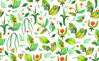 Turuncu bitki salatası Bud suluboya çizimi