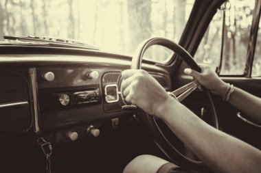 Orman yaprakları kahverengi vintage araba Volkswagen retro mavi renk