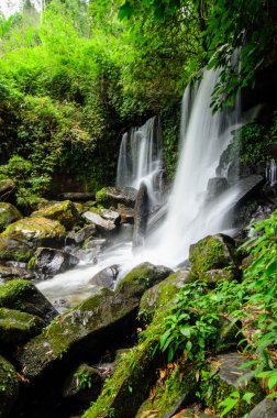 Tayland 'da Şelale