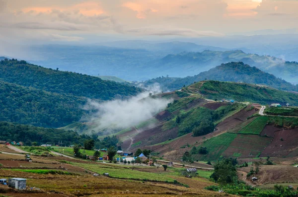 Foresta di montagna nebbiosa — Foto Stock