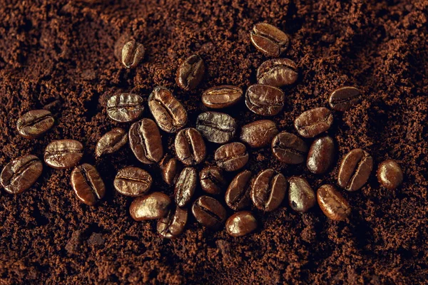 Coffee beans on coffee grounds — Stockfoto