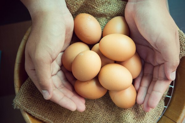 Свежее яйцо с куриной фермы
