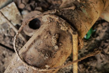 Kil çömlek yapmak için kullanılan bir malzemedir.