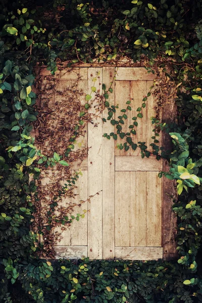 Pérgola de madeira de painel que é bonito . — Fotografia de Stock