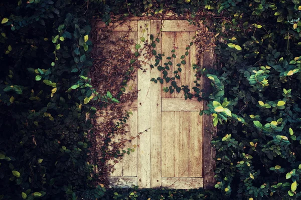Çok güzel bölmesi ahşap pergola.