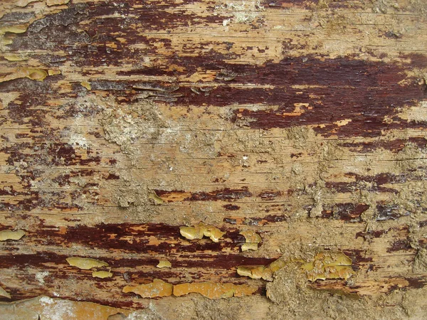 Tekstura Starej Nędznej Drewnianej Deski Śladami Farby — Zdjęcie stockowe