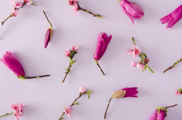 Ніжний Весняний Фон Рожеві Квіти Пастельно Фіолетовому Тлі Креативна Квітуча — стокове фото