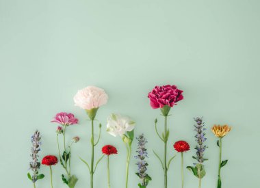 Yaratıcı çiçek aranjmanı. Bahar çiçekleri nane yeşiline karşı