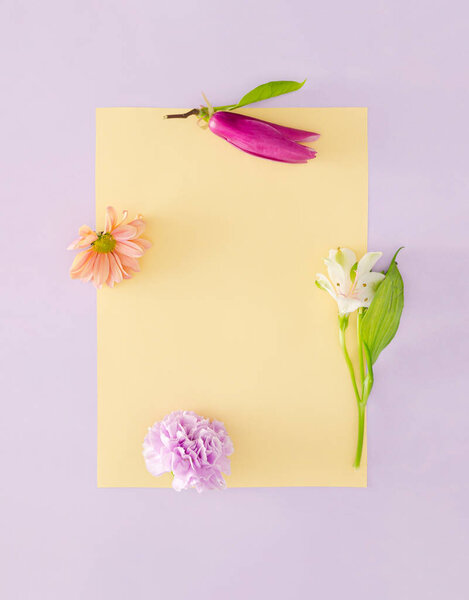 Creative Romantic Concept Spring Flowers Pastel Purple Beige Background Creative — Stock Photo, Image