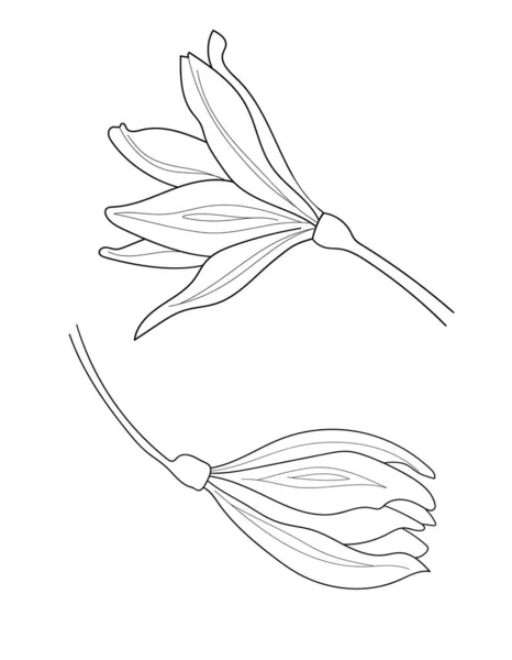 矢量热带花在一条线艺术绘画风格 在白色背景上的简约黑线草图 Icon或Weeding邀请函的抽象说明集 — 图库矢量图片