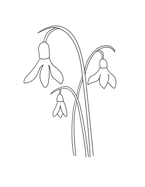 Line Art Schneeglöckchen Blumen Auf Weißem Hintergrund Minimalistische Abstrakte Vektorillustration — Stockvektor