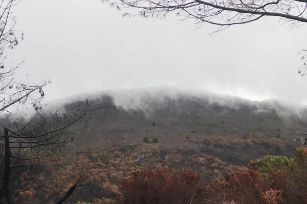 Vista Panorâmica Outono Montanha Nebulosa Das Árvores Amarelas Alaranjadas Floresta — Fotografia de Stock