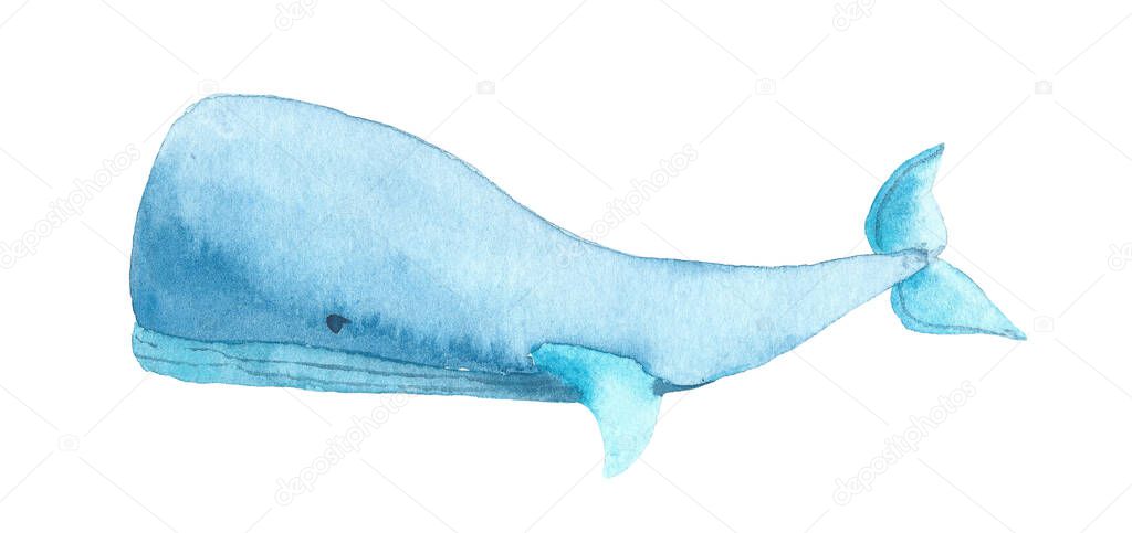 Watercolor blue whale on white background