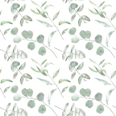 Suluboya, kusursuz okaliptüs deseni. Beyaz arka planda yeşil yapraklar ve dallarla çizilmiş bir süs. Paketler, kartpostallar, arkaplan ve tebrik kartları için tasarım