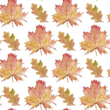 Akçaağaç ve meşe yapraklı sonbahar deseni